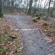 Start und Ziel beim VfL Weihnachtslauf 2020 im Hartwald