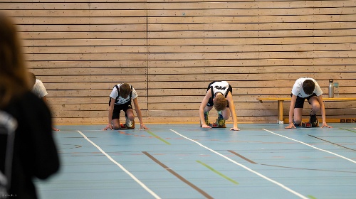 https://www.leichtathletik-vfl-waiblingen.de/content/igal/28-ah_2025_02_15-161-IJ28PI-L-3301.jpg
