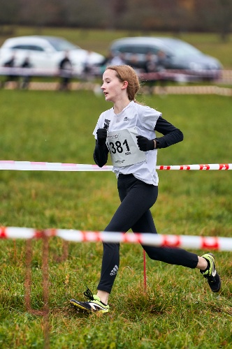 https://www.leichtathletik-vfl-waiblingen.de/content/igal/vfl_waiblingen_luise_pforzheim_cross_2021_1-RVV85K-L-2299.jpg