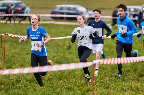 https://www.leichtathletik-vfl-waiblingen.de/content/igal/vfl_waiblingen_luise_pforzheim_cross_2021_2-W5X9HJ-L-2300.jpg